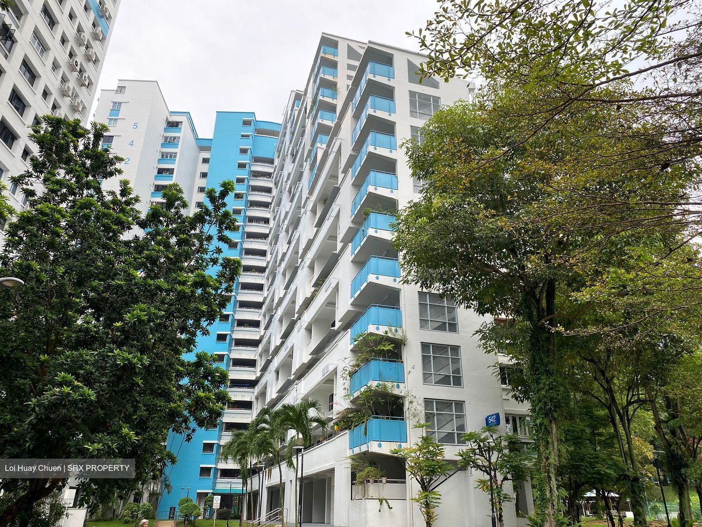 Blk 542 Jelapang Road (Bukit Panjang), HDB Executive #433850501